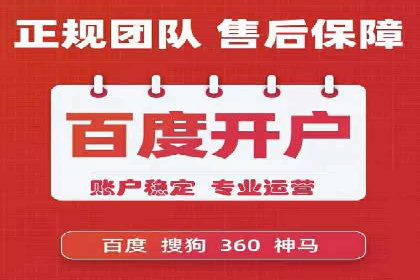 如何在sem竞价托管中取得卓越效果——案例解读